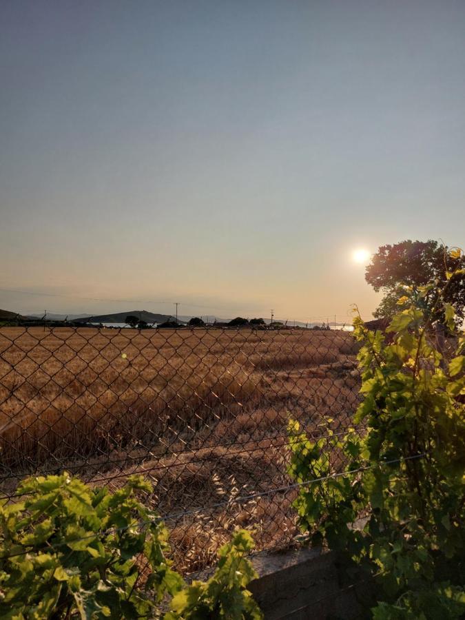 Seaview Saravari Studios Agios Alexandros Eksteriør billede